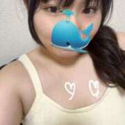 ひなの お礼　3.4 素人ぽちゃカワ学園