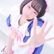 ヒメ日記 2025/01/22 06:45 投稿 ふわり ふわメロ