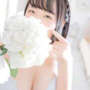 ヒメ日記 2025/01/23 21:05 投稿 ふわり ふわメロ