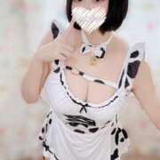 ヒメ日記 2025/02/22 18:45 投稿 ふわり ふわメロ