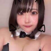 ヒメ日記 2025/03/29 06:15 投稿 ふわり ふわメロ