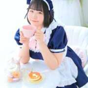 ヒメ日記 2025/04/22 09:25 投稿 ふわり ふわメロ