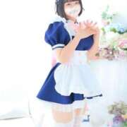 ヒメ日記 2025/04/29 20:25 投稿 ふわり ふわメロ