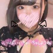 ヒメ日記 2025/06/12 06:45 投稿 ふわり ふわメロ