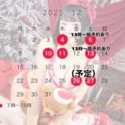 ヒメ日記 2025/11/23 01:25 投稿 ふわり ふわメロ