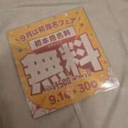 ひなの ※無題 PLATINA