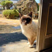 ヒメ日記 2025/03/22 12:07 投稿 くみ PLATINA