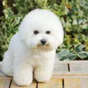 ヒメ日記 2025/04/05 10:08 投稿 くみ PLATINA