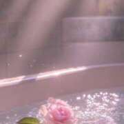 ヒメ日記 2025/06/23 12:16 投稿 ドール【清楚ギャル最上級♥】 バニーコレクション 中洲店