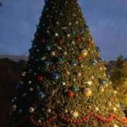 ヒメ日記 2025/12/11 12:52 投稿 ドール【清楚ギャル最上級♥】 バニーコレクション 中洲店