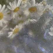 ヒメ日記 2026/01/06 12:58 投稿 ドール【清楚ギャル最上級♥】 バニーコレクション 中洲店