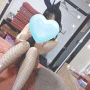 ヒメ日記 2025/05/15 14:32 投稿 ネア【潮吹き美女バニー♪】 バニーコレクション 中洲店