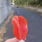 ヒメ日記 2026/01/08 08:18 投稿 栗山あん 若奥サマンサ（横浜ハレ系）