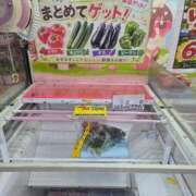 ヒメ日記 2026/08/21 05:34 投稿 栗山あん 若奥サマンサ（横浜ハレ系）