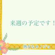 ヒメ日記 2024/05/21 16:21 投稿 とわ 熟女なカノジョ