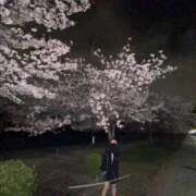 ヒメ日記 2025/04/08 01:05 投稿 ノン secretgirl大阪