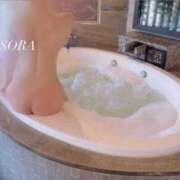 ヒメ日記 2025/06/29 00:00 投稿 みそら 神栖レッドダイヤ