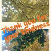 ヒメ日記 2025/11/21 13:45 投稿 遼花(りょうか) 渋谷蘭の会