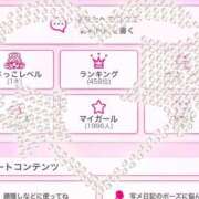 ヒメ日記 2025/04/01 19:50 投稿 唐沢 ANECOTE