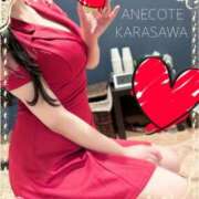 ヒメ日記 2025/04/04 12:31 投稿 唐沢 ANECOTE