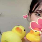 ヒメ日記 2025/04/17 14:28 投稿 唐沢 ANECOTE