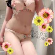 ヒメ日記 2025/04/24 23:24 投稿 唐沢 ANECOTE