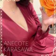 ヒメ日記 2025/10/02 18:05 投稿 唐沢 ANECOTE