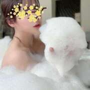 唐沢 申し訳ございません（ ;  ; ） ANECOTE