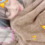 唐沢 本日お休み頂きます（ ;  ; ） ANECOTE