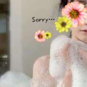 唐沢 お詫び(T ^ T) ANECOTE