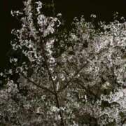 唐沢 とっても楽しみ…♡ ANECOTE