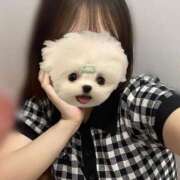 ヒメ日記 2025/06/04 10:15 投稿 マリー スピードエコ梅田店