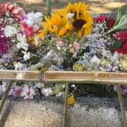 ヒメ日記 2025/02/11 15:38 投稿 みき イエスグループ熊本　Kawaii（カワイイ）