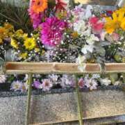 ヒメ日記 2025/05/10 07:55 投稿 みき イエスグループ熊本　Kawaii（カワイイ）