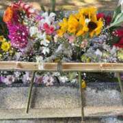 ヒメ日記 2025/06/14 08:31 投稿 みき イエスグループ熊本　Kawaii（カワイイ）