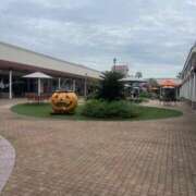 ヒメ日記 2025/10/10 16:50 投稿 みき イエスグループ熊本　Kawaii（カワイイ）