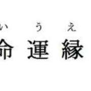 ヒメ日記 2023/12/28 10:14 投稿 まこ アラモード