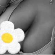 ヒメ日記 2025/07/11 17:24 投稿 りおな 千葉 魅惑の人妻