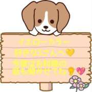 ヒメ日記 2026/03/30 17:03 投稿 あずさ One More 奥様　錦糸町店