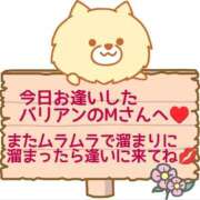 ヒメ日記 2026/04/03 22:45 投稿 あずさ One More 奥様　錦糸町店