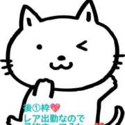 ヒメ日記 2026/05/02 15:53 投稿 あずさ One More 奥様　錦糸町店