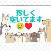 ヒメ日記 2026/05/20 17:20 投稿 あずさ One More 奥様　錦糸町店