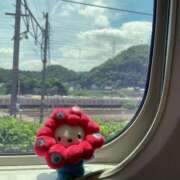 ヒメ日記 2025/07/13 17:20 投稿 ねね 渋谷角海老