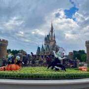 ヒメ日記 2025/09/20 16:20 投稿 ねね 渋谷角海老