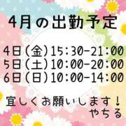ヒメ日記 2025/03/22 14:05 投稿 やちる 水戸人妻花壇