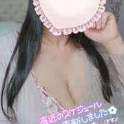 ヒメ日記 2025/05/06 20:22 投稿 やちる 水戸人妻花壇