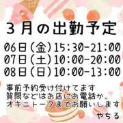 ヒメ日記 2026/02/20 18:51 投稿 やちる 水戸人妻花壇