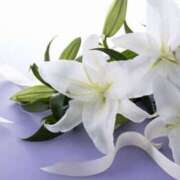 ヒメ日記 2024/12/19 21:27 投稿 浅倉 人妻風俗チャンネル