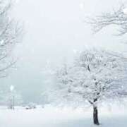 ヒメ日記 2025/02/05 10:04 投稿 浅倉 人妻風俗チャンネル