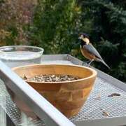 ヒメ日記 2025/02/08 21:04 投稿 浅倉 人妻風俗チャンネル